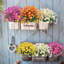 4 faisceaux de marguerites artificielles pour l'extérieur-838606463