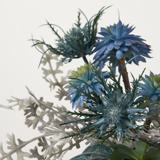 Succulent Arrangement in Pot