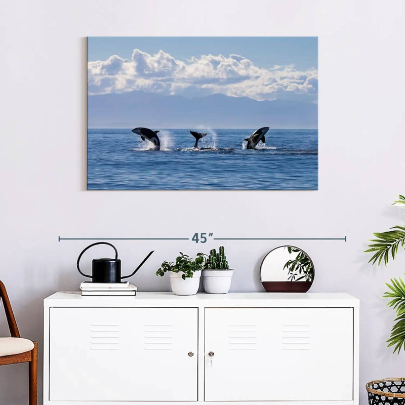Brampt Lively Killer Whales, 24" H x 36" W
