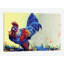 «Dutch Bantam», reproduction sur toile-29683984-74379155-74379160