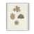 White Single Picture Framed selected