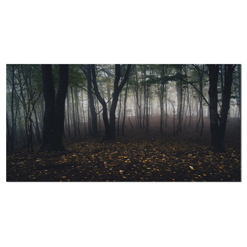 «Dark Spooky Misty Wild Forest», reproduction de photo, H 16 po x l 32 po x P 1 po, Toile tendue