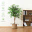 Annaliisa Faux Tree-23538157