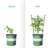 Australis 18in Plant Support