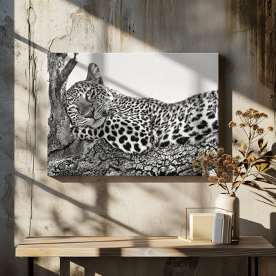 Wrapped Canvas Print