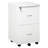 Jyiah 17'' Wide 2 -Drawer Mobile File Cabinet-1552262168