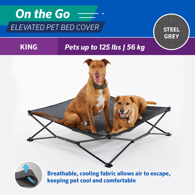 Couvre-lit surélevé pour animal de compagnie, Gris foncé, Très grand / très grand (H 41 po x l 41 po x P 1
