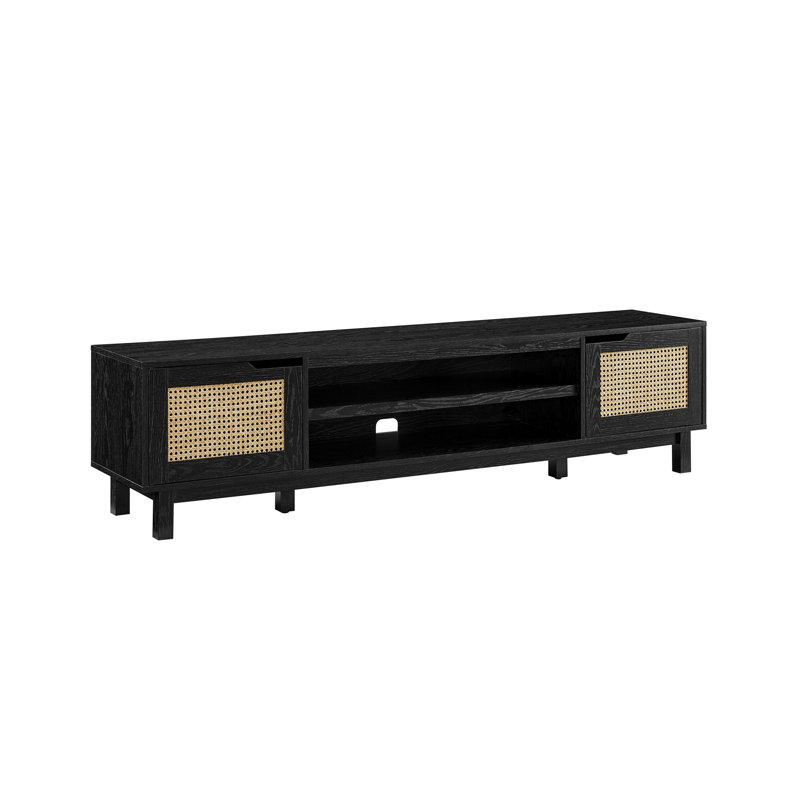 Petoskey 70" 2-Door TV Stand for TVs up to 80", Black