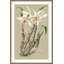 Botanical Jungle 1 Print-440985023