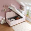 Upholstered Bed