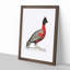 Black-Headed Pheasant by John Edward Gray - Picture Frame Painting Print-55686508-55686507
