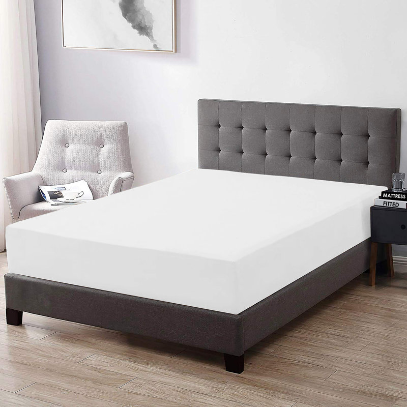 Egyptian Cotton Sateen Fitted Sheet, White, Standard