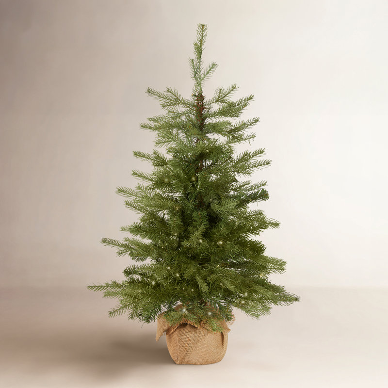 3 pi Épinette nordique avec lumières DEL