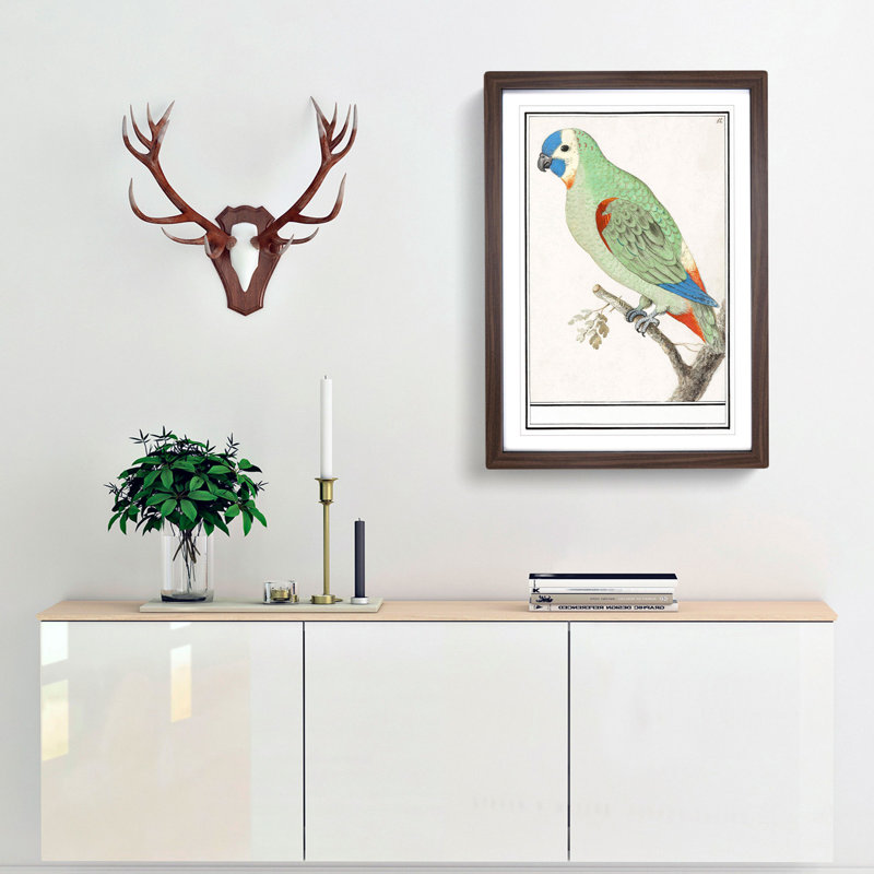 Amazon Parrot by A.B. De Boodt - Single Picture Frame Painting, 33cm H x 24cm W x 2cm D, Walnut Framed
