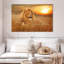 Lion couché Brampt-107684154