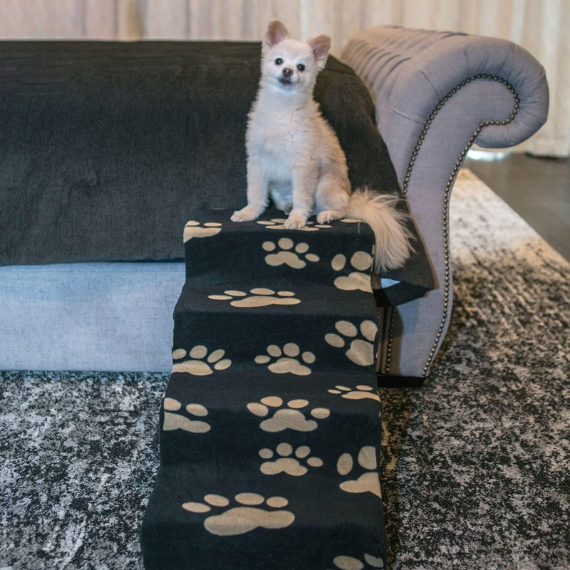 Dog Stairs & Steps