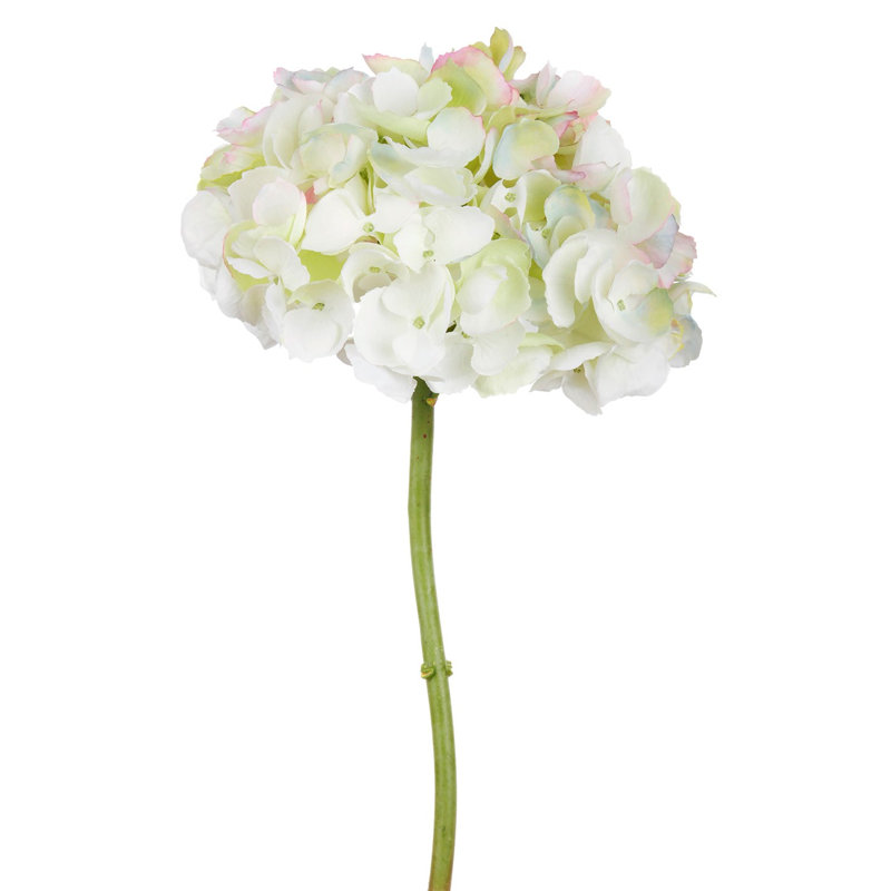 HYDRANGEA SHORT STEM