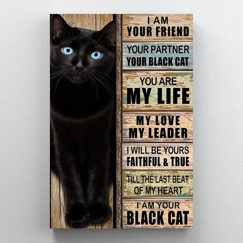 «I Am Your Black Cat On», impression sur toile, H 20 po x l 16 po x P 1,25 po