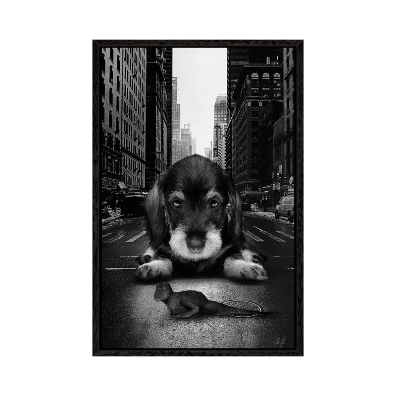 Play Time by Kathrin Federer - Print on Canvas, Black Framed, 66.04cm H x 45.72cm W x 3.81cm D