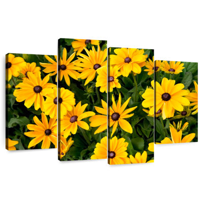 Harnek Gloriosa Daisies