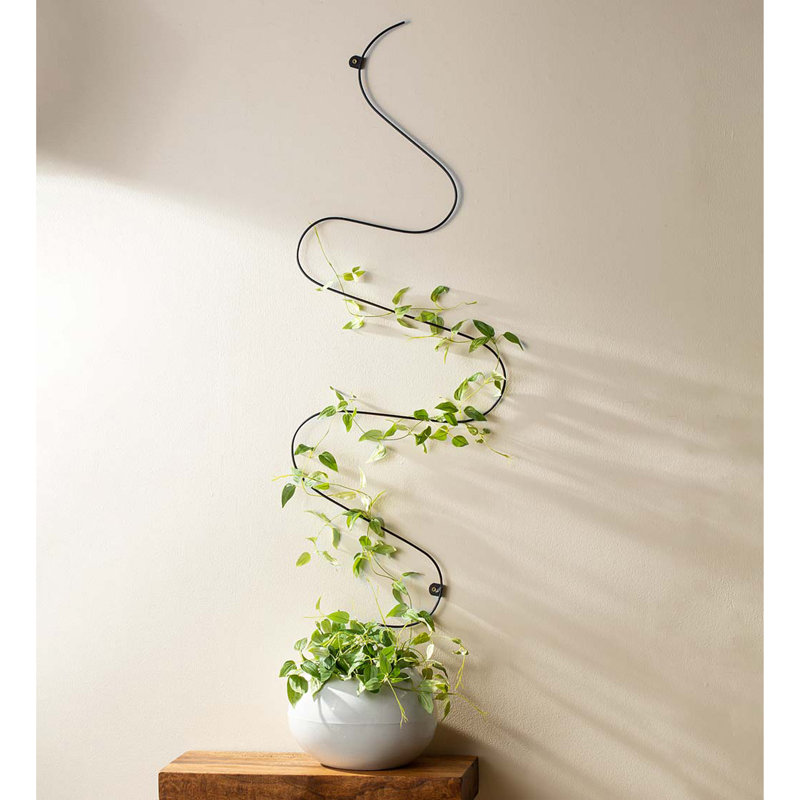 49"H Metal Winding Wall Trellis