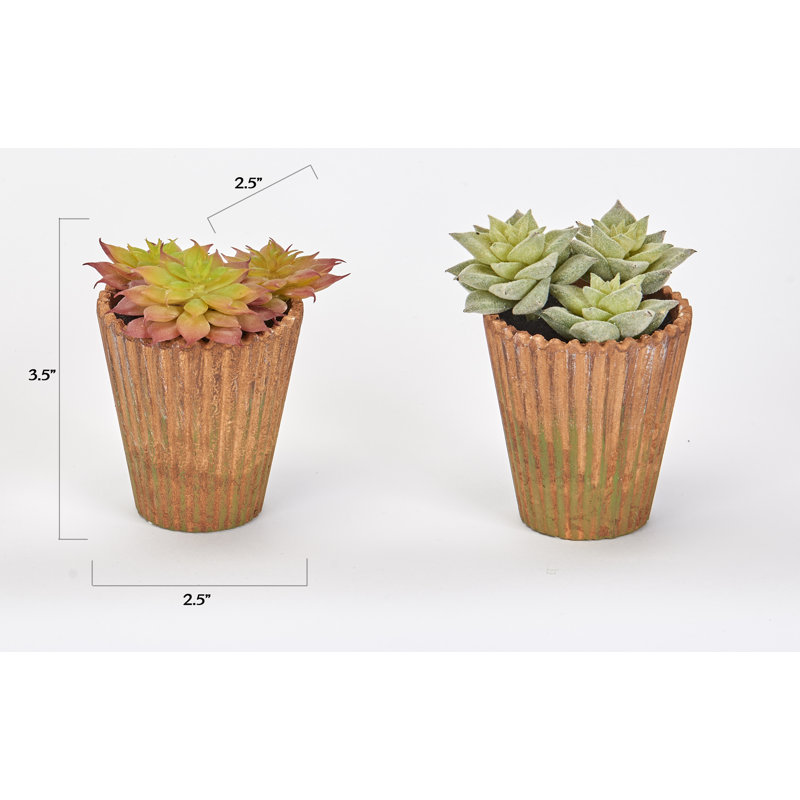 Ensemble de 2 plantes grasses en pot et poussin en pot