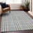 Machine Washable Indoor/Outdoor Chayden ACN1054 Rug-1364678888