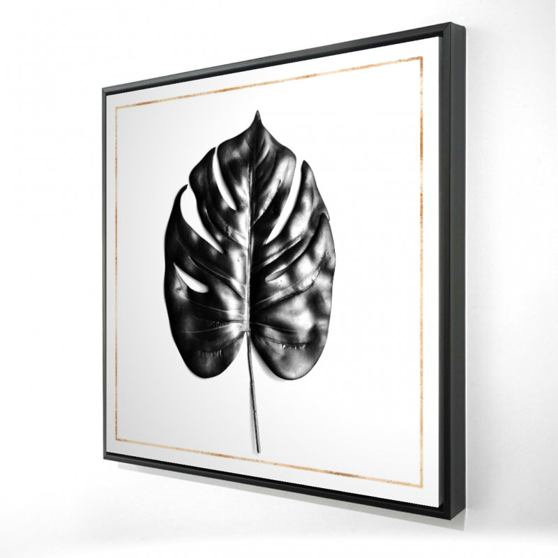 " Split Leaf Philodendron With Rose Line "