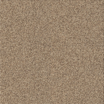 Indoor Rug