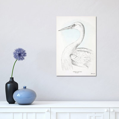 Herodias Plumiferus by Stellar Design Studio - Print on Canvas