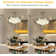 Enry 20'' Ceiling Fan with LED Lights