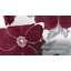 Darionte Poppy Floral Cushion Cover with Filler Pad-1397256258-1397256269