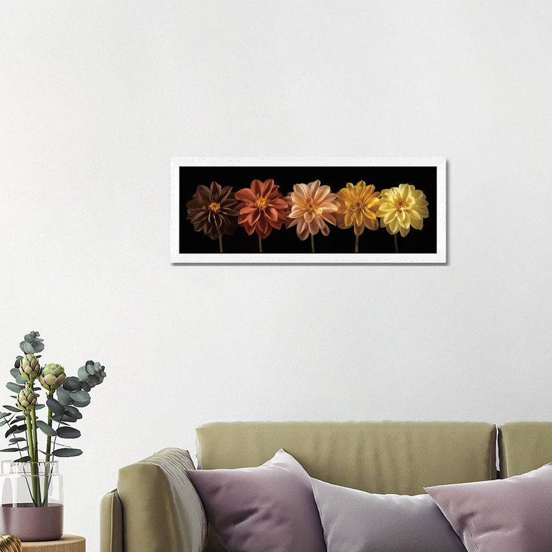 Floral Salute by Assaf Frank - Panoramic Print on Canvas, 152.4 cm H x 50.8 cm W x 1.91 cm D, White Framed