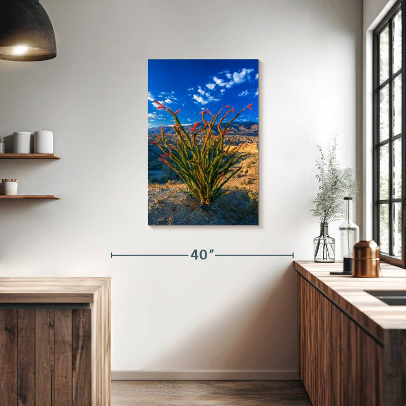 Harnek Ocotillo à Anza Borrego, H 36 po x l 24 po