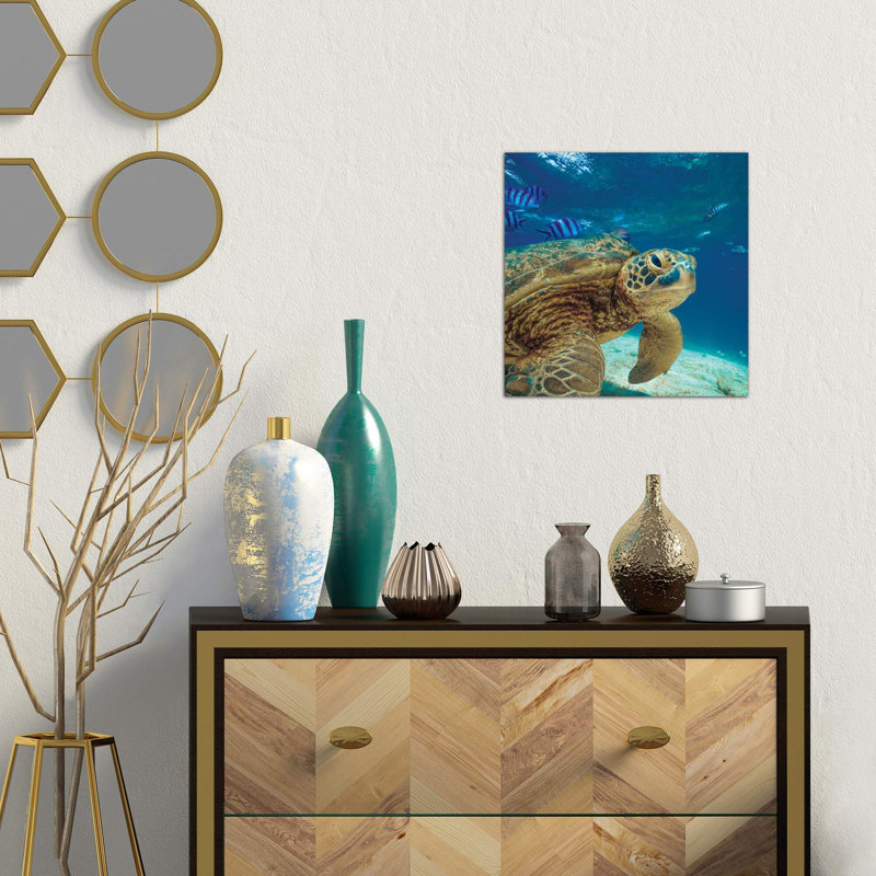 Green Sea Turtle, Balicasag Island, Philippines by Tim Fitzharris - Wrapped Canvas Print, 45.72 cm H x 45.72 cm W x 1.91 cm D