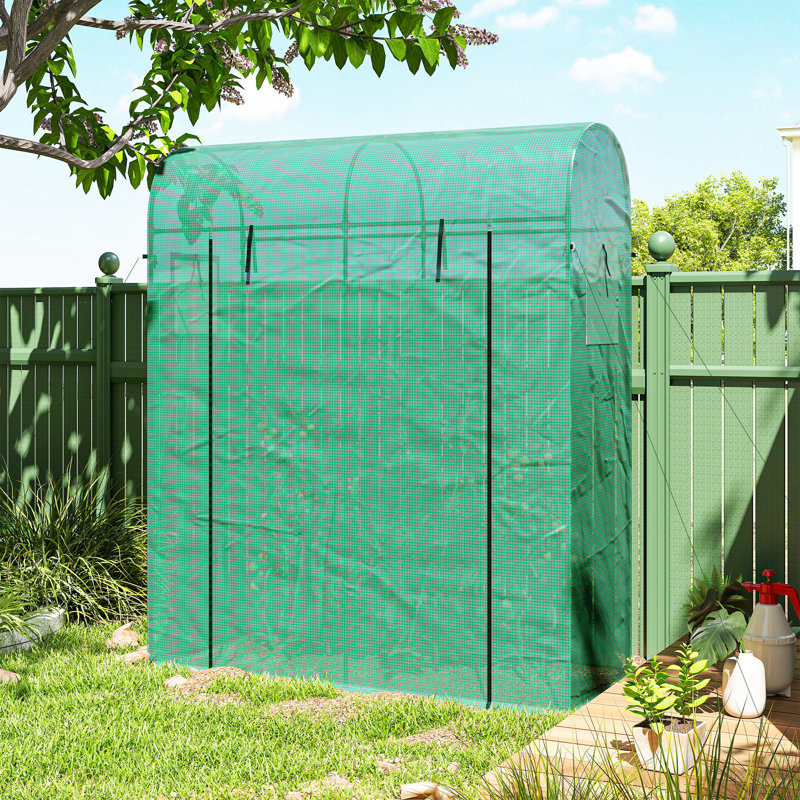 Mini serre et jardin portable avec serre PE, vert, Vert