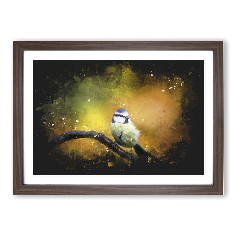 Blue Tit Bird Vol.2 Paint Splash - Picture Frame Graphic Art, 36cm H x 48cm W x 2cm D, Walnut