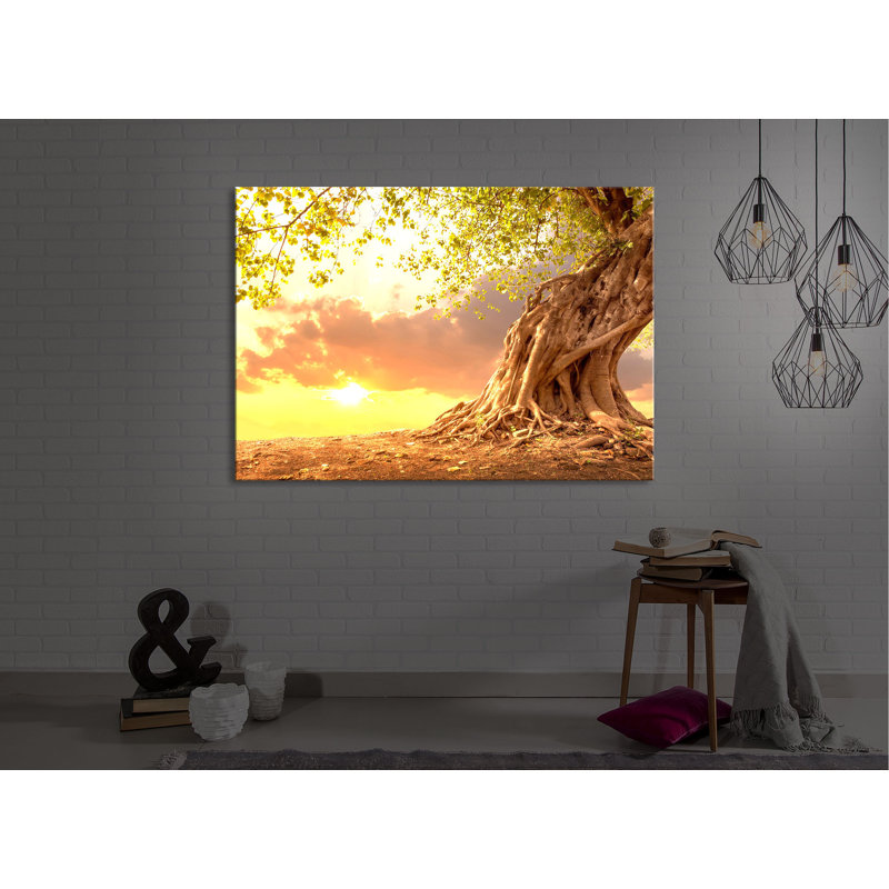 Rooted Strong Tree At Sunset by No - Wrapped Canvas Print, Without lighting, 60cm H x 80cm W x 4.5cm D
