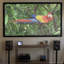 Écran de projection mural ezFrame Plus Series-12597737