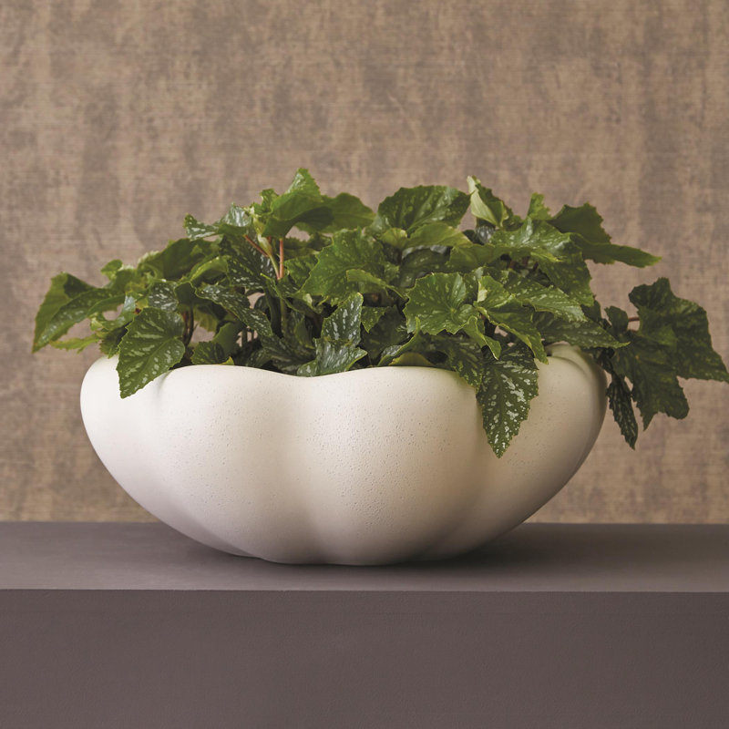 Pond Bowl