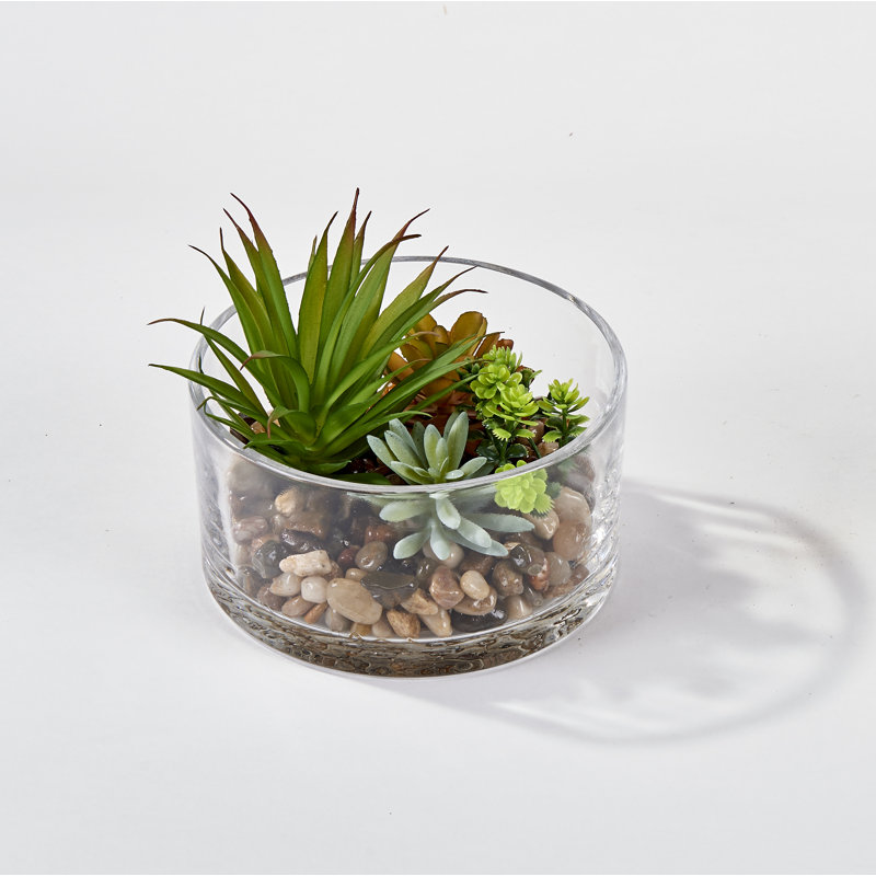 4'' Faux Succulent Plant in Glass Vase