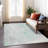 Machine Washable Indoor/Outdoor Xhevrie Mint Rug-1968333484