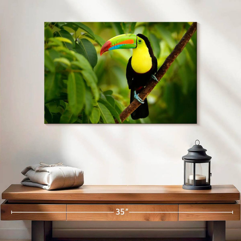 Brampt Toucan On A Tree, 16" H x 24" W