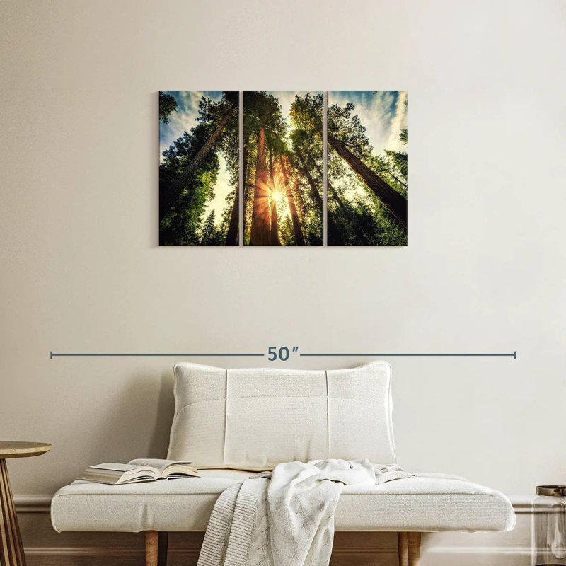 Coucher de soleil sur les arbres Harnek, H 20 po x l 33 po