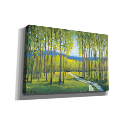 «Morning Stroll I» par Tim O'toole, art mural sur toile