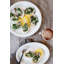 Assiette plate en porcelaine de 10 pouces Colorado (ensemble de 6)