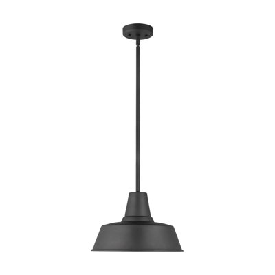 Luminaire suspendu d'extérieur 1 lumière H 9 po Blakeston
