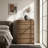 Arden 31.5" W Modern Brown 5 Drawer Chest