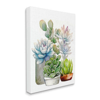 Au-767-Canvas Mixed Potted Succulent Garden by Ziwei Li - Wrapped Canvas Print