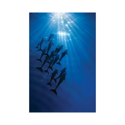The Gathering 1 Piece Wrapped Canvas Wall Art